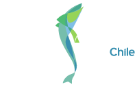 Merluza Austral de Chile