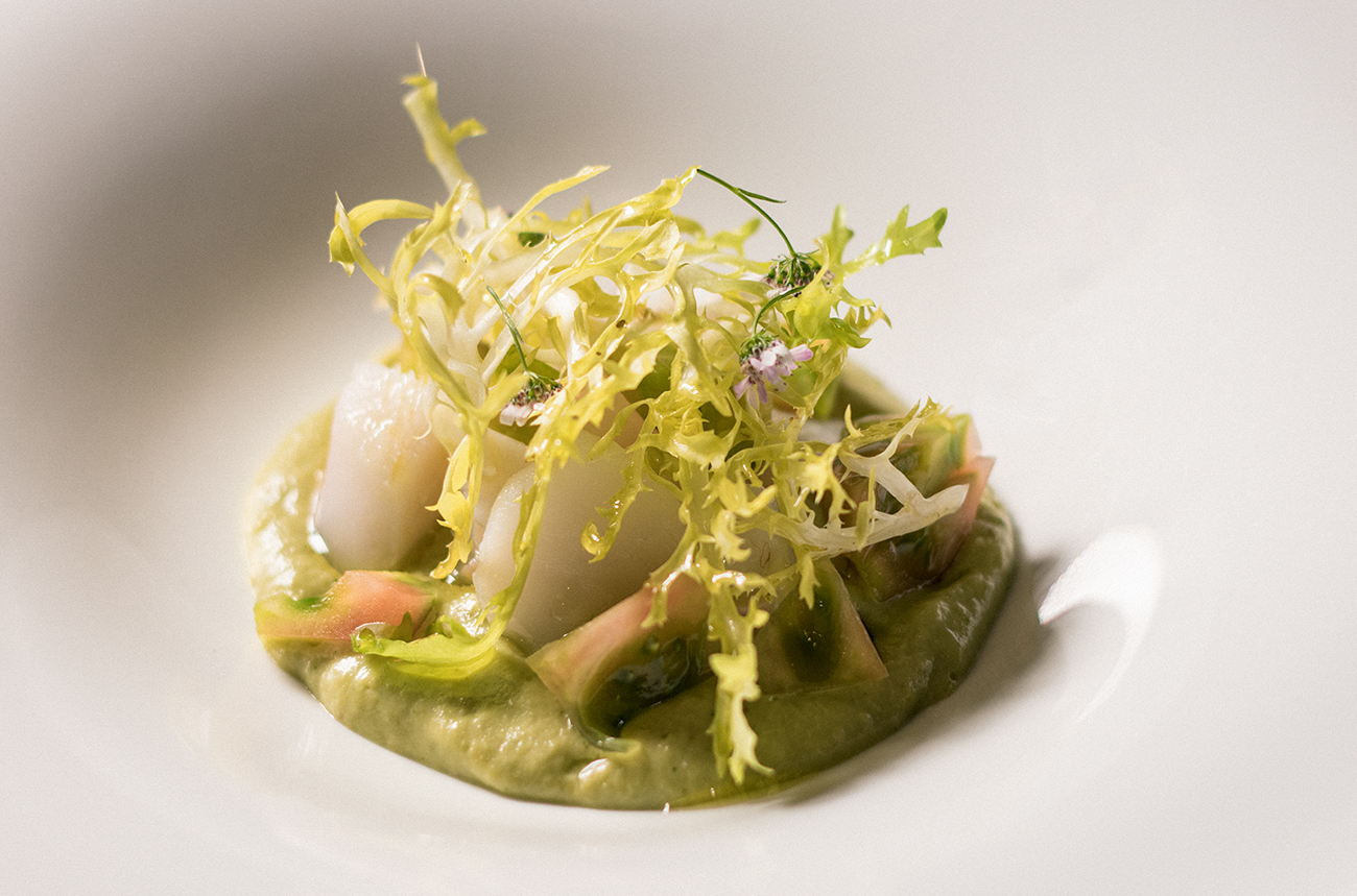 Merluza Austral Chile - Recetas del chef - Salpicón de merluza, aguacate y manzana verde